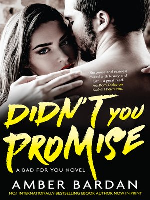 cover image of Didn't You Promise